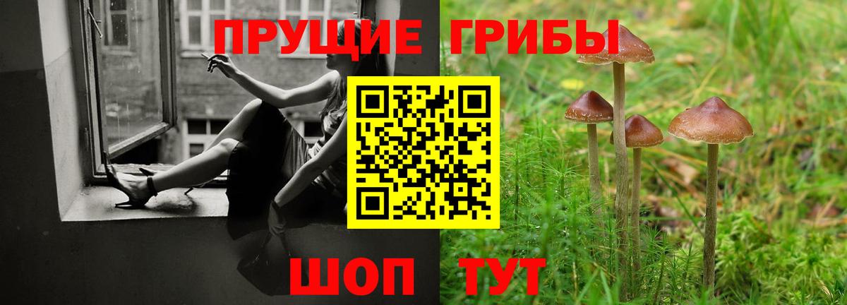 Псилоцибиновые грибы Psilocybine cubensis Первоуральск
